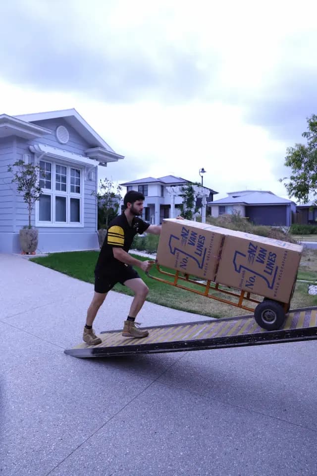 ozwide removalist