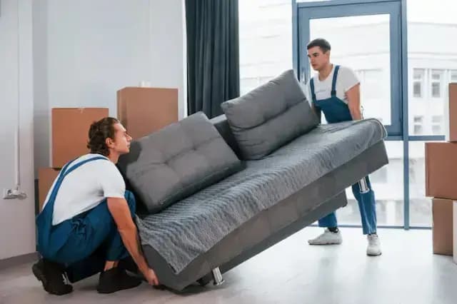 affordable furniture movers